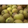 Pomme Cox Orange 500g