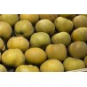 Pomme Canada 500g