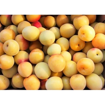 Prune Mirabelle Kg