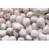 Champignons Blancs vrac 500g