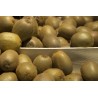 Kiwi 500g