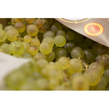 Raisins Chasselas 500g