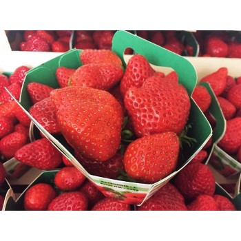 Fraises normande 500g