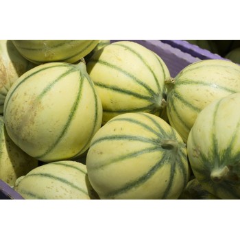 Melon la pièce
