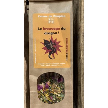 TISANE LE BREUVAGE DU DRAGON TDS  G