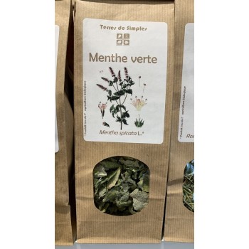 MENTHE VERTE TERRES DE SIMPLES AB 20G