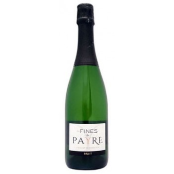 Crémant de Bdx CH.PAYRE blanc 75cl