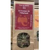 TISANE BIO TROMPE ELEPHANT TDS G