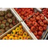 Tomates Anciennes 500g