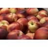 Nectarine Jaune 500g
