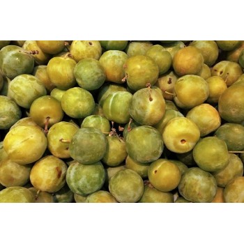 Prune Reine claude 500g