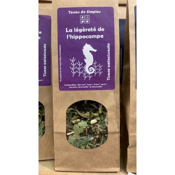 TISANE BIO LEGERETE HIPPOCAMPE TDS G