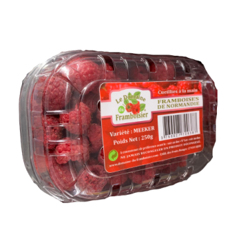 Framboise EARL Fruits-Rouges 250 g