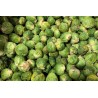 CHOUX DE BRUXELLES VERTS 500g
