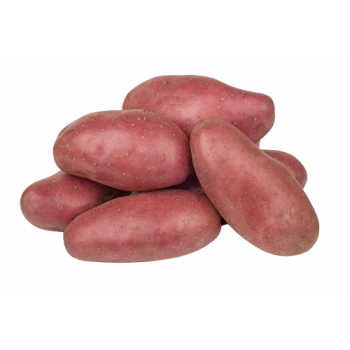Pommes de terre Vrac rouge Kg
