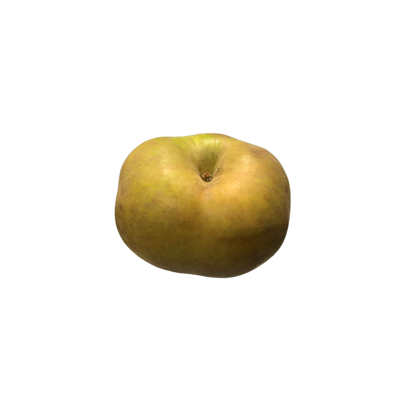 Pomme Canada 500g