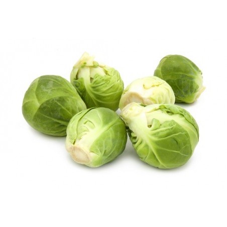CHOUX DE BRUXELLES VERTS 500g