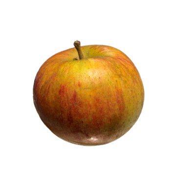 Pomme Cox Orange 500g