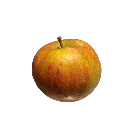 Pomme Cox Orange 500g