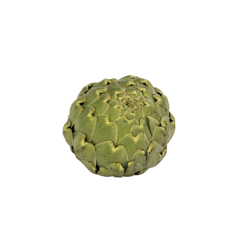 Artichaut - la pièce