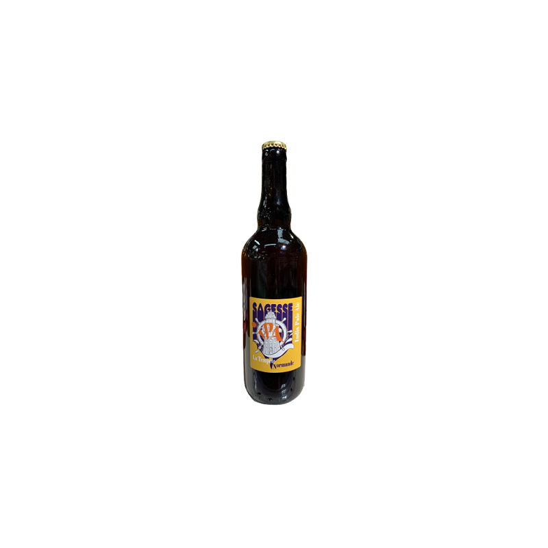 BIERE BIO TEMPETE NORMANDE 75cL SAGESSE