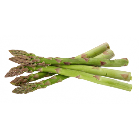 ASPERGE VERTE 300GR