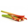 Rhubarbe Kg