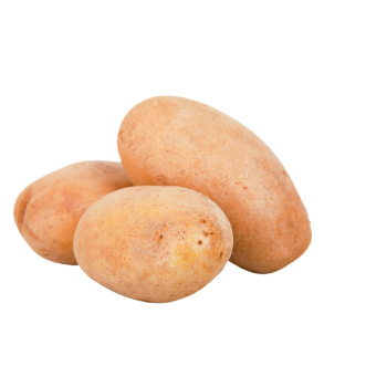 POMME DE TERRE NOUVELLE KG