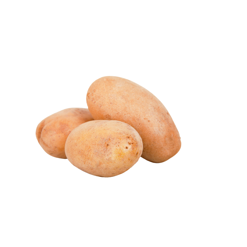 POMME DE TERRE NOUVELLE KG
