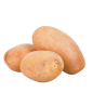 POMME DE TERRE NOUVELLE KG