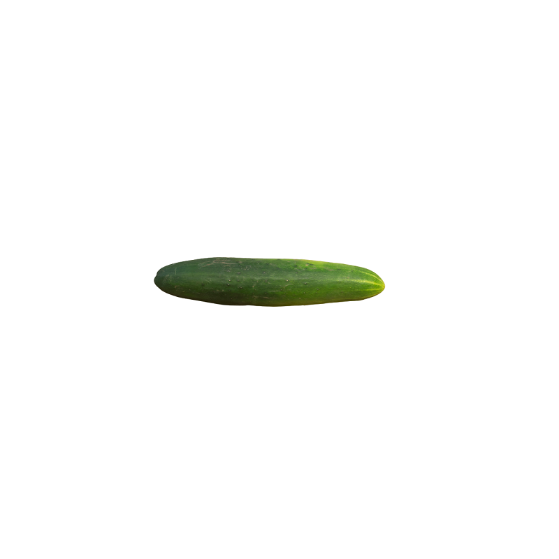 Concombre épineux unité