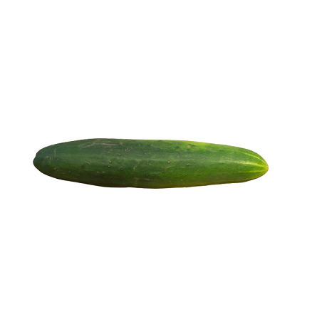 Concombre épineux unité
