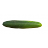 Concombre épineux unité