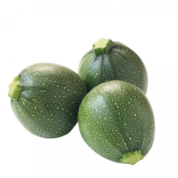 Courgette Ronde Pièce