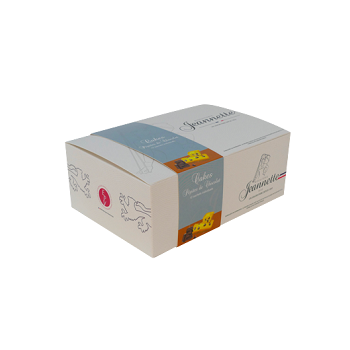 CAKES PEPITES CHOCOLAT JEANNETTE 300G