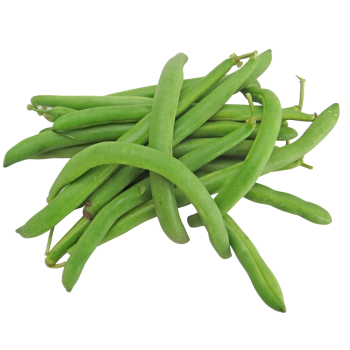 HARICOT VERTS  BIO 500g