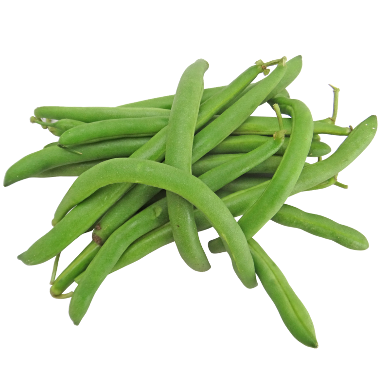 HARICOT VERTS  BIO 500g