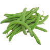 HARICOT VERTS  BIO 500g