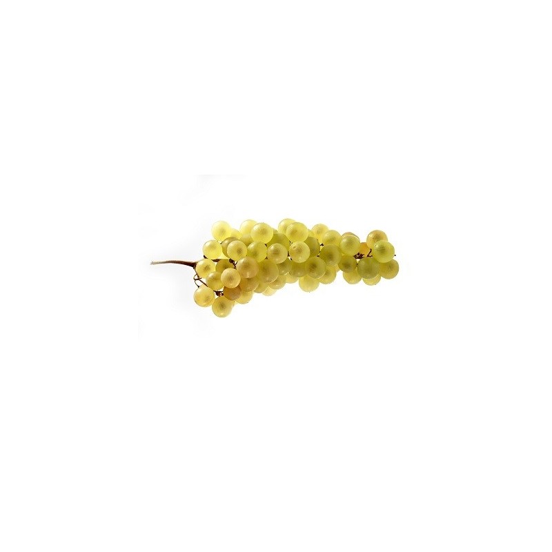 Raisins Chasselas 500g