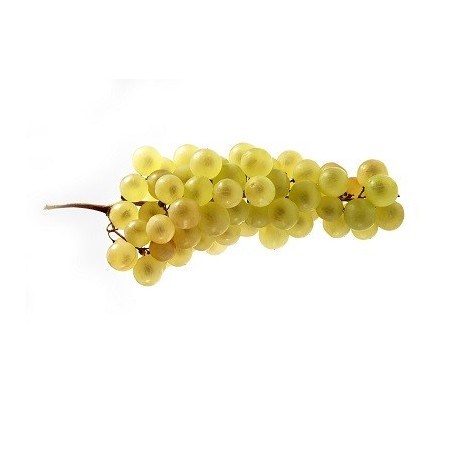 Raisins Chasselas 500g