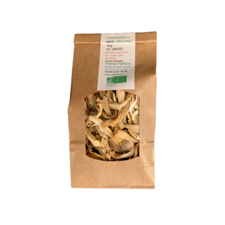 PLEUROTE SECHEES SCHT40G CHAMPI PARFOURU