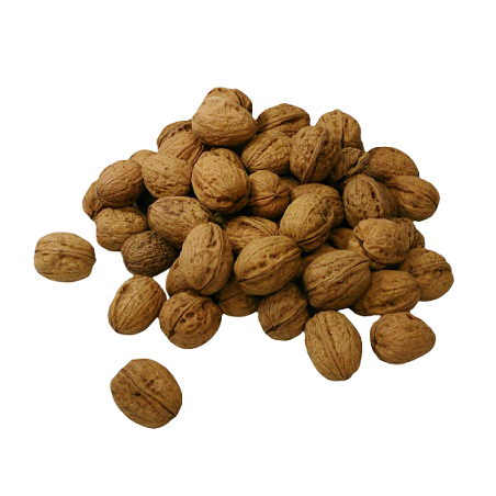 NOIX EN COQUE CAL 32/42 500g