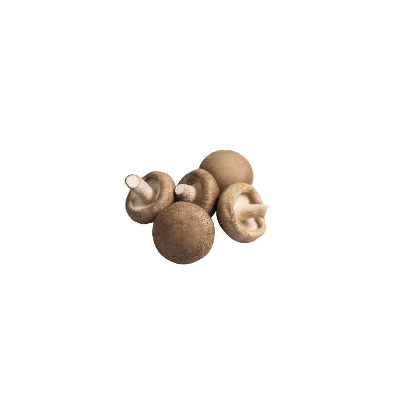 CHAMPIGNON BLOND BARQUETTE 500g