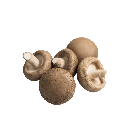 CHAMPIGNON BLOND BARQUETTE 500g