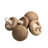 CHAMPIGNON BLOND BARQUETTE 500g