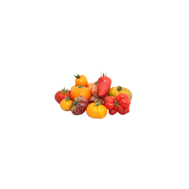 TOMATE ANCIENNE 500g