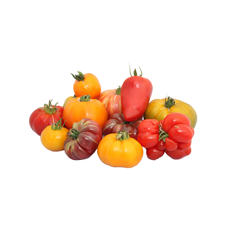 TOMATE ANCIENNE 500g