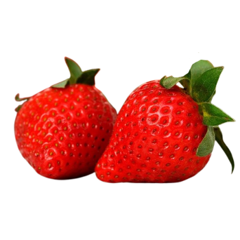 FRAISE MARIGUETTE BARQUETTE 500G