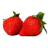 FRAISE MARIGUETTE BARQUETTE 500G