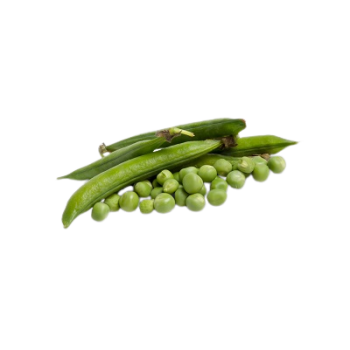 PETIT POIS 500GR